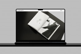 studio.werth