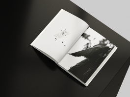 studio.werth